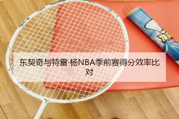 东契奇与特雷·杨NBA季前赛得分效率比对