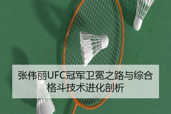 张伟丽UFC冠军卫冕之路与综合格斗技术进化剖析